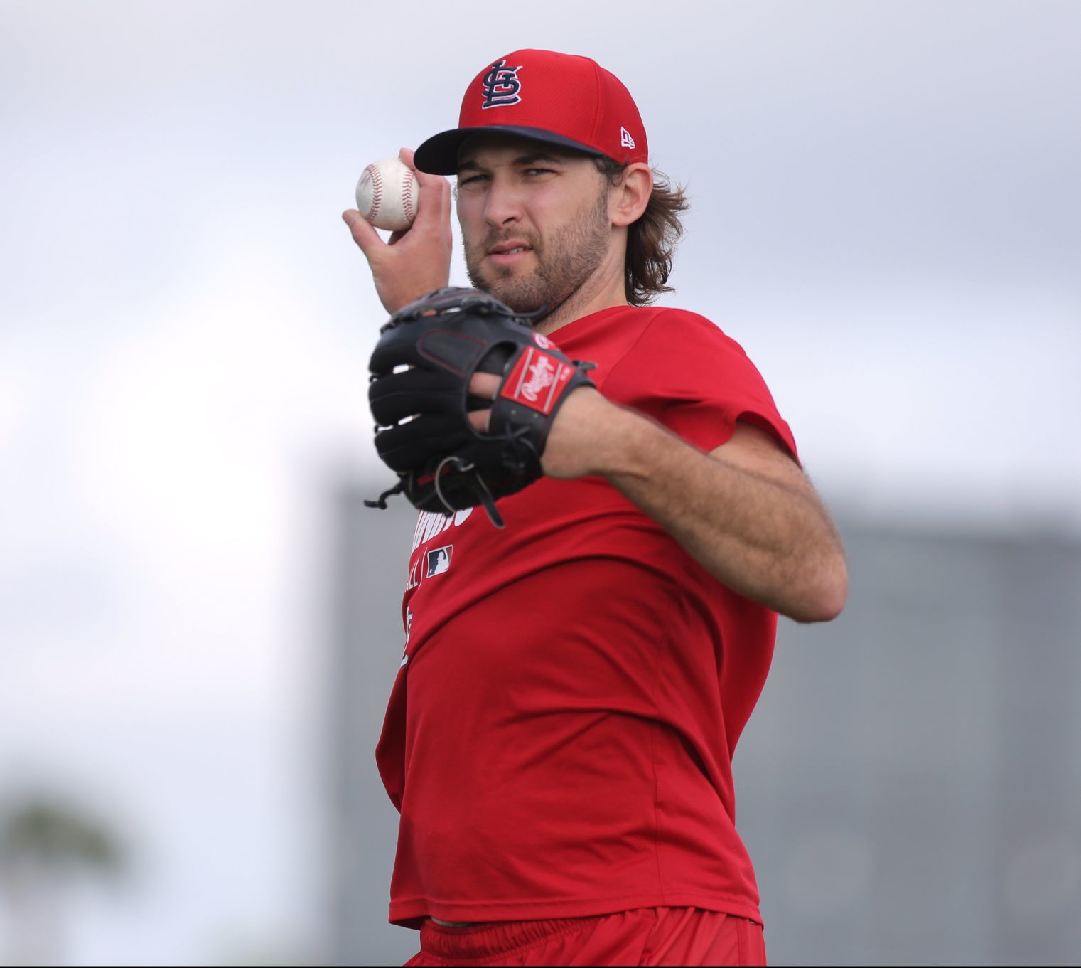Cardinals spring training